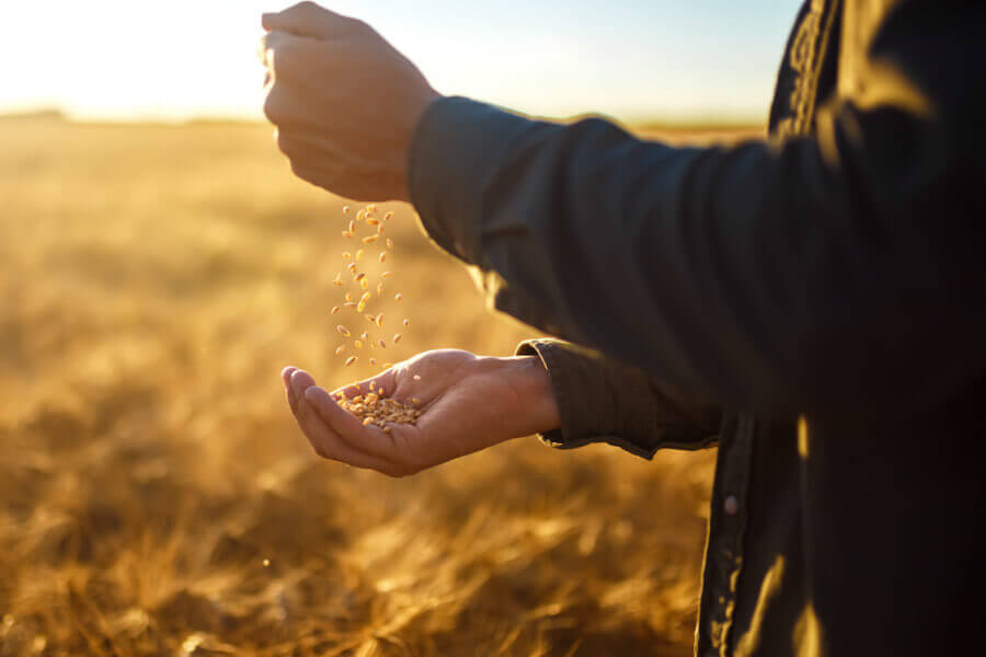 Farmers and Suppliers