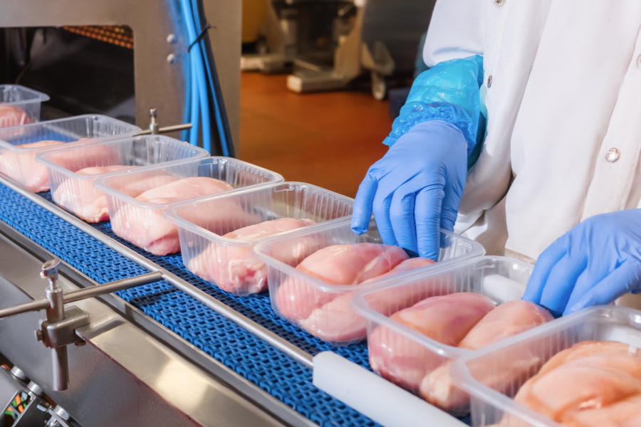 Food Safety